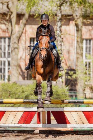 Angebote für Erwachsene