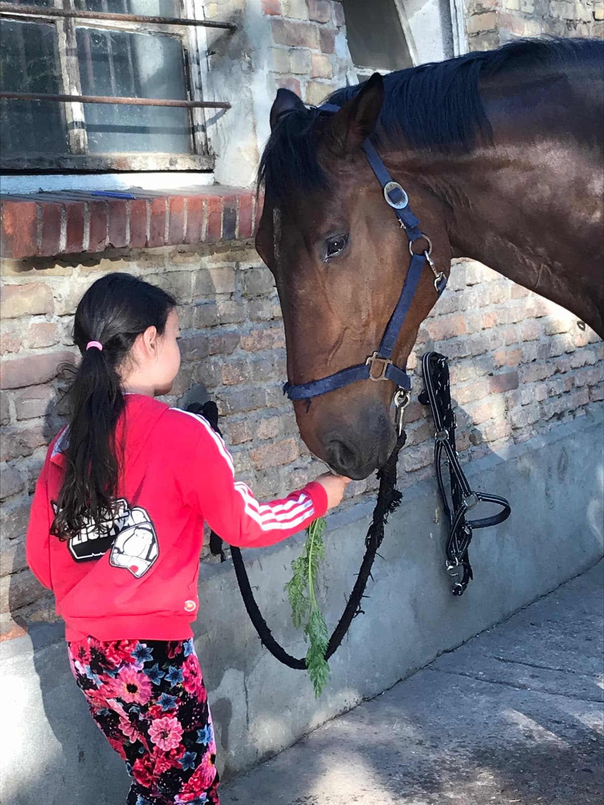 Angebote für Kinder